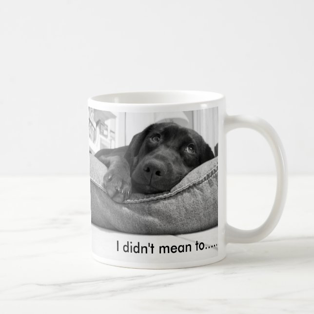 I didn't mean to....... coffee mug (Right)
