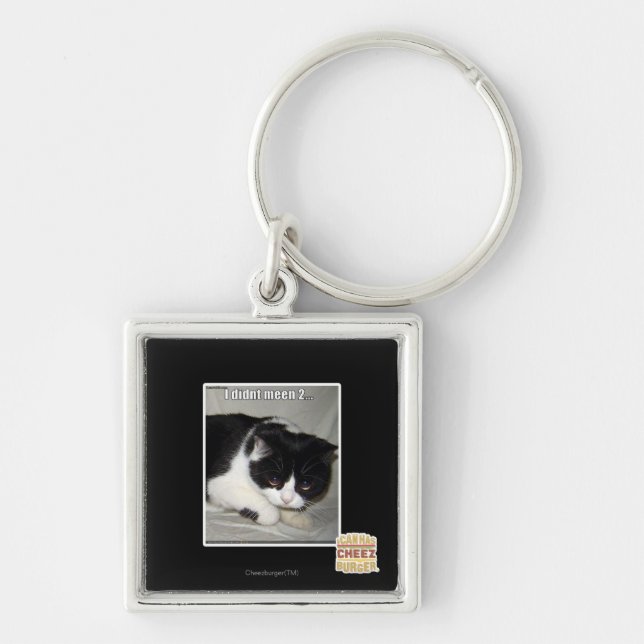 I didn't meen 2 key ring (Front)