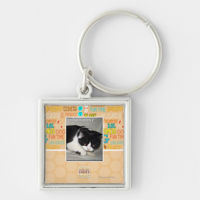 I didn't meen 2 key ring (Front)