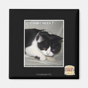 I didn't meen 2 magnet