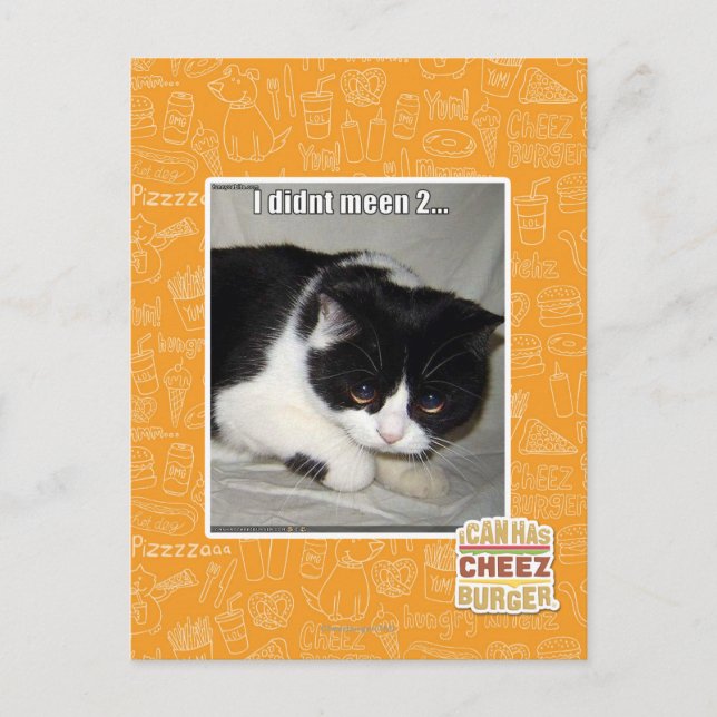 I didn't meen 2 postcard (Front)