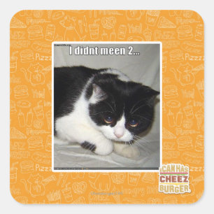 I didn't meen 2 square sticker