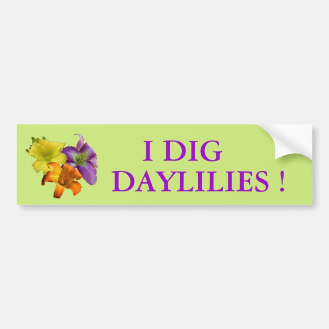 I Dig Daylilies Bumper Sticker (Front)