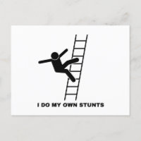 I Do My Own Stunts