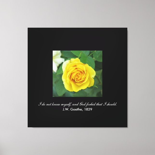 I do not know myself . . . (Goethe) Canvas Print (Front)