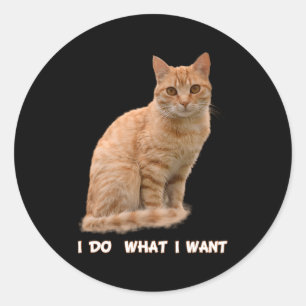 I Do W I Want Orange Tabby Cat Classic Round Sticker