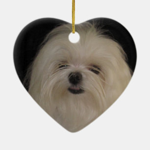 I Don't Do Top Knots MALTESE Ceramic Tree Decoration