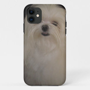 I Don't Do Top Knots MALTESE iPhone 5/5s Case