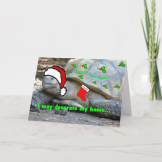 I don't have a chimney, Santa! Holiday Card