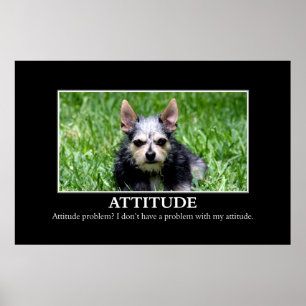 I don't have an attitude problem [XL] Poster