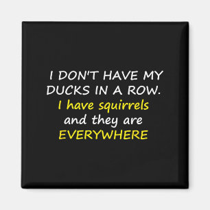 I Don't Have My Ducks In A Row. Magnet