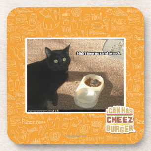 I don't know you cared coaster