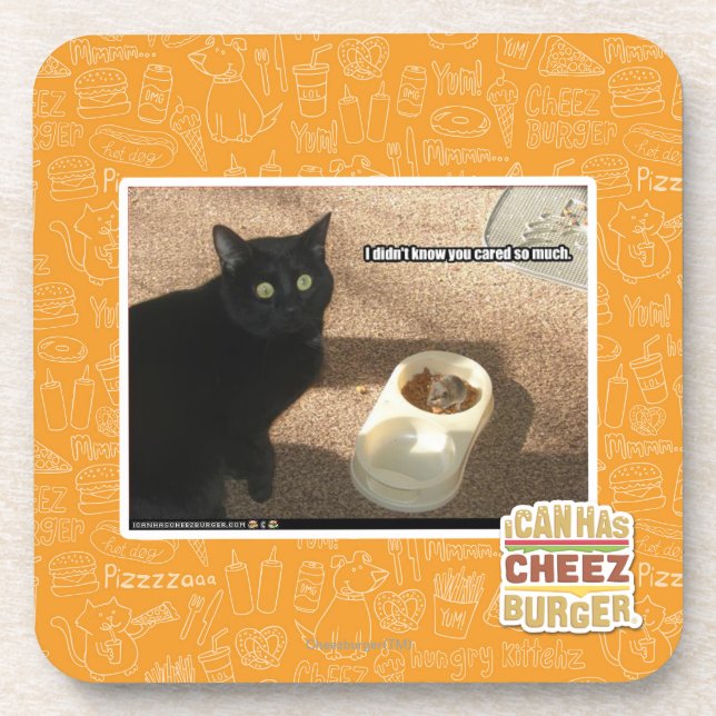 I don't know you cared coaster (Front)