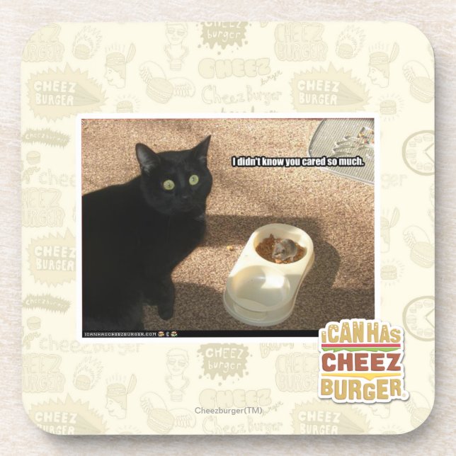 I don't know you cared coaster (Front)