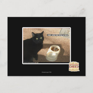 I don't know you cared postcard