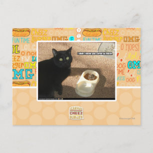 I don't know you cared postcard