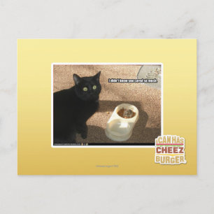 I don't know you cared postcard