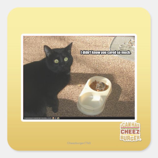 I don't know you cared square sticker (Front)