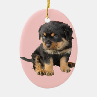 I Don't Need To Be Told I Am Cute Ceramic Tree Decoration