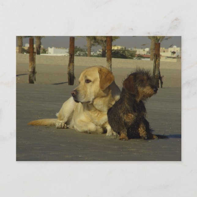 I don't talk to you postcard (Front)