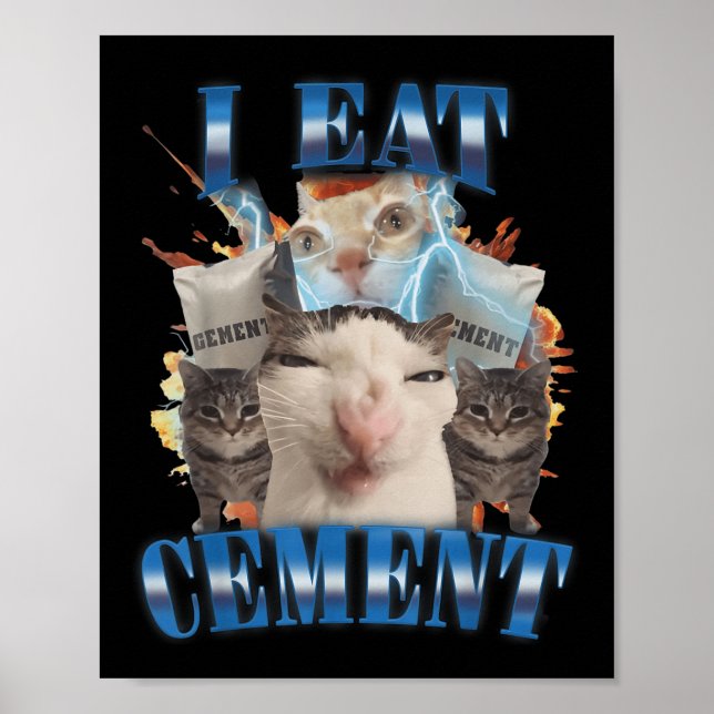 I Eat Cement Cursed Cat Funny Oddly Specific Dank  Poster (Front)