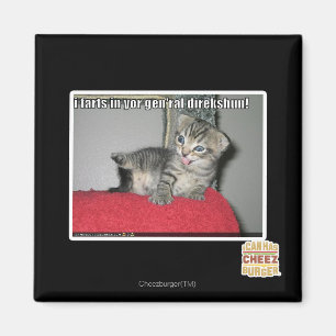 I farts in yor gen'ral direkshun magnet