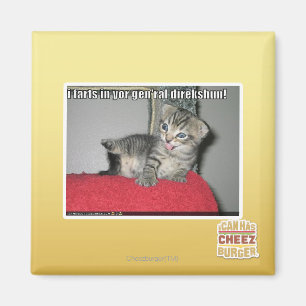 I farts in yor gen'ral direkshun magnet