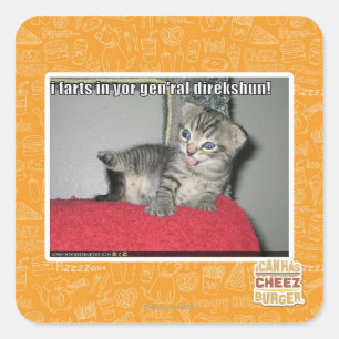 I farts in yor gen'ral direkshun square sticker