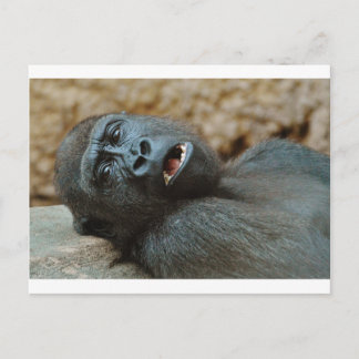 "I feel so sleepy" Postcard