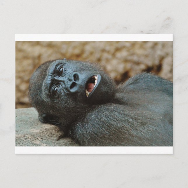 "I feel so sleepy" Postcard (Front)