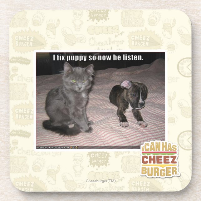 I fix puppy coaster (Front)