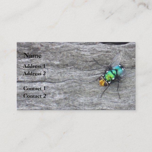 i flies business card (Front)