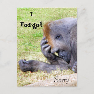 I Forgot, I'm Sorry, I Forgot, Sorry Postcard