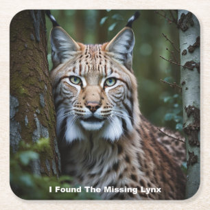 I Found The Missing Lynx Coasters
