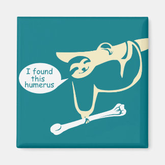 I Found this Humerus Funny Sloth Magnet