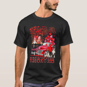 I Found Valentine Two Cute Boston Terriers Couple  T-Shirt