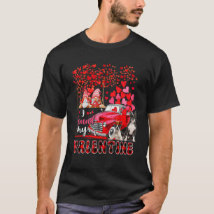 I Found Valentine Two Cute Boston Terriers Couple  T-Shirt