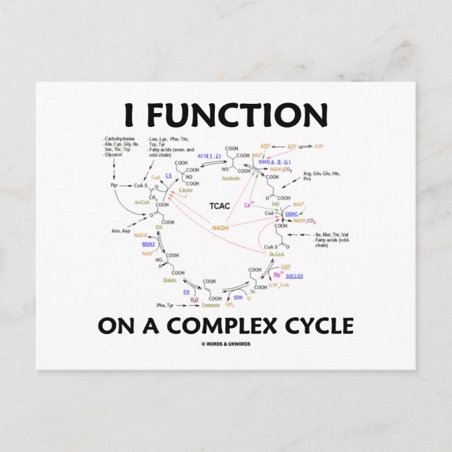 I Function On A Complex Cycle (Krebs Cycle Humour) Postcard (Front)