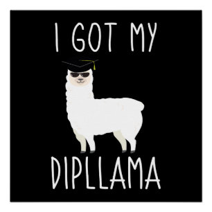 I Got My Dipllama Poster