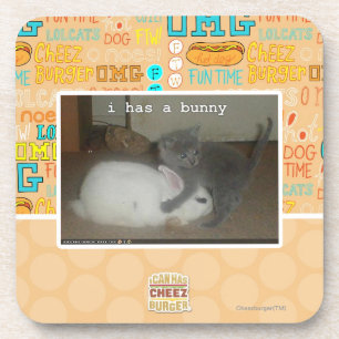 I has a bunny coaster
