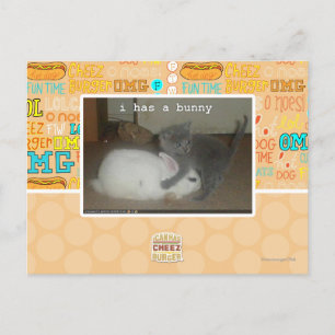 I has a bunny postcard