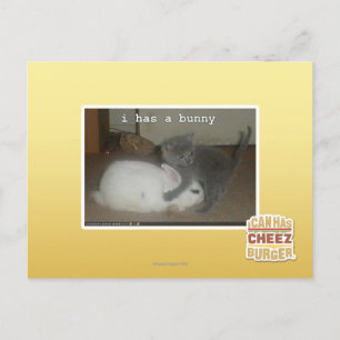 I has a bunny postcard