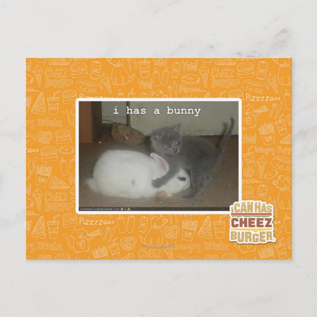 I has a bunny postcard (Front)