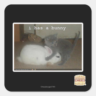 I has a bunny square sticker