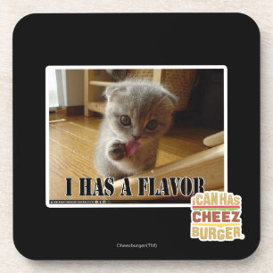 I has a flavour coaster