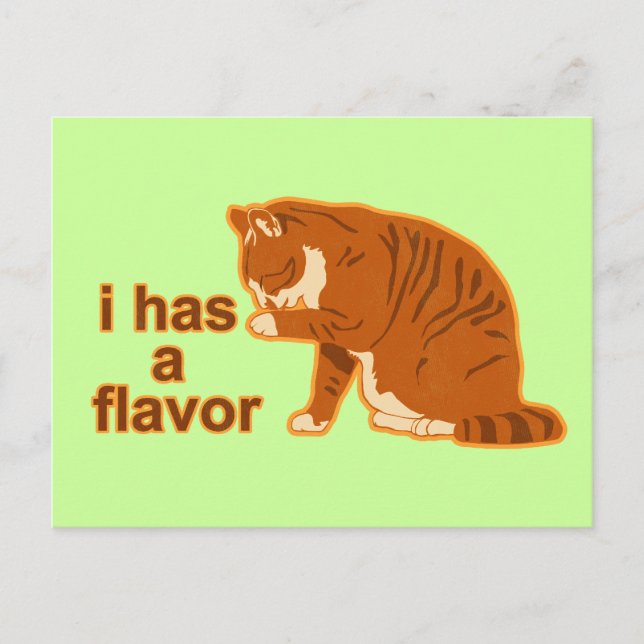 I has a flavour, LOL CAT Postcard (Front)