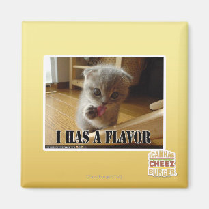 I has a flavour magnet