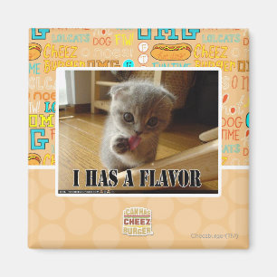 I has a flavour magnet