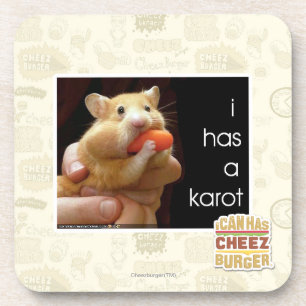 I has a karot coaster