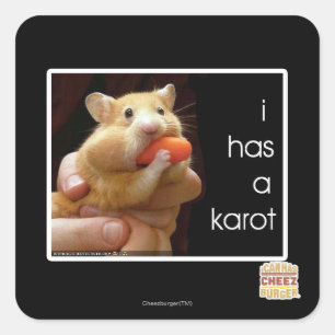 I has a karot square sticker